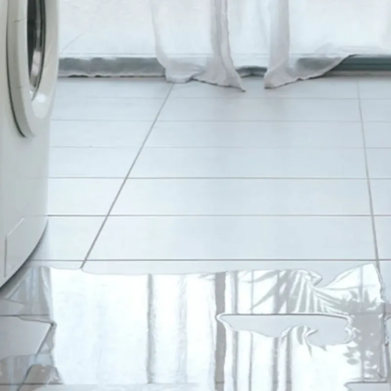 Appliance Leak Cleanup in Ladue, MO