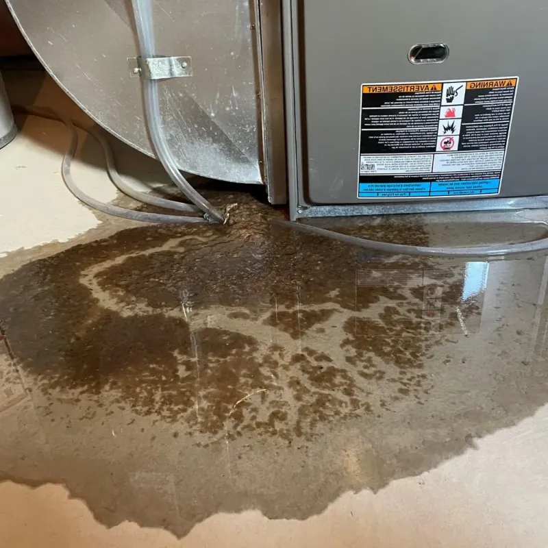Pipe Burst and Leak Restoration in Ladue, MO