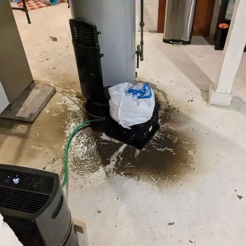 Sewage Backup Cleanup Service in Ladue, MO